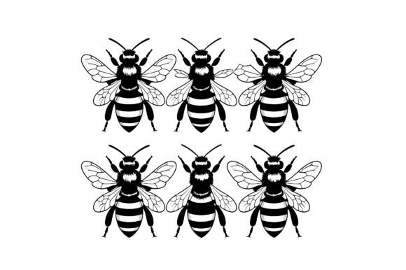 Illustration of Six Bees: A Design Asset Evaluation