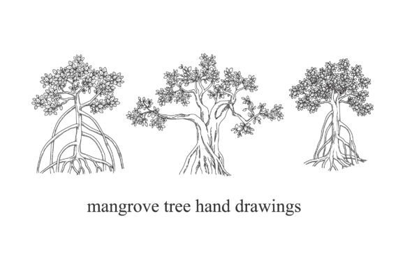 Mangroves Tree Hand Drawn: Creative Design Made Easy