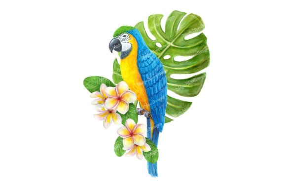 Parrot Macaw Watercolor Tropical Flowers: A Vibrant Digital Design for Creative Projects