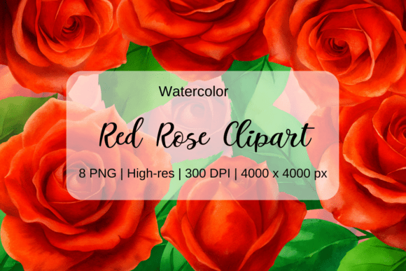 Red Watercolor Rose Clipart for Vintage-Inspired Designs