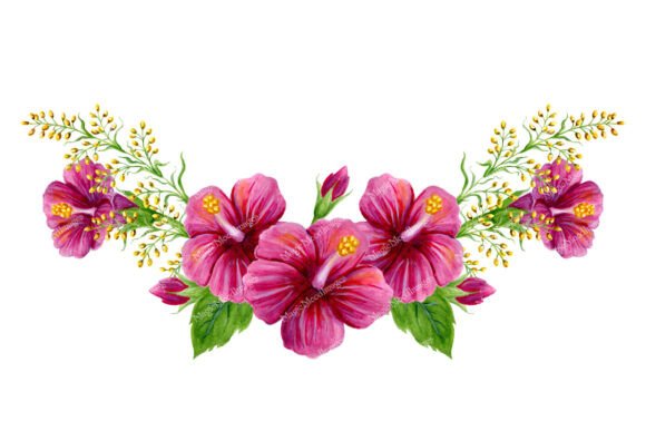 Tropical Flowers Hibiscus Watercolor PNG