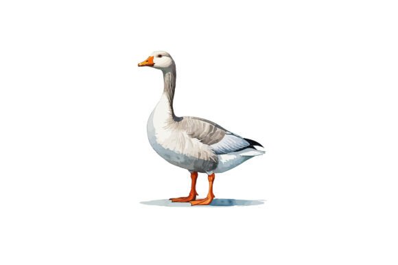 Watercolor Illustration of a Goose: A Versatile Asset for Modern Designers